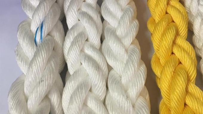 Muralhas de escalada de plástico multicolor para crianças Parque de jogos 7