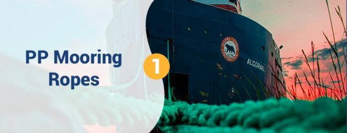 Grátis 220 M Branco Polipropileno PP de Alta Força 8 Filamentos 68 mm Corda de Amarração Para Reboque 0