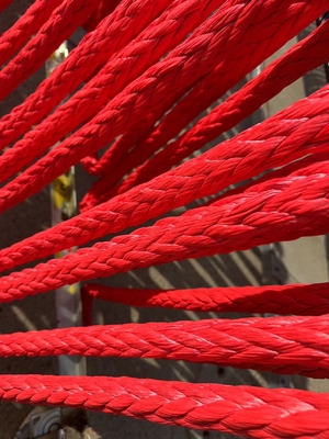 Cordas de alta resistência UHMWPE Sling 12 cordas de reboque UHMWPE